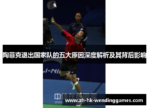 陶菲克退出国家队的五大原因深度解析及其背后影响