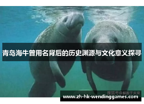 青岛海牛曾用名背后的历史渊源与文化意义探寻